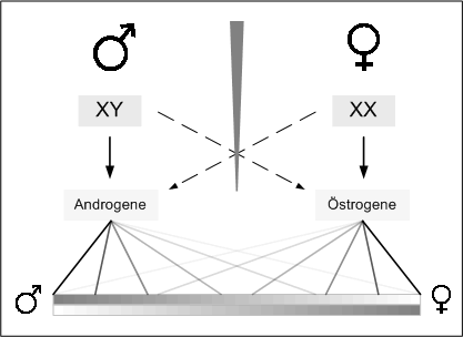 Bild "Leseecke/Theorie:zdg001.gif"
