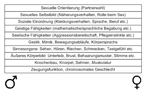 Bild "Leseecke/Theorie:zdg003.gif"