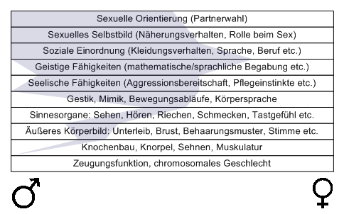Bild "Leseecke/Theorie:zdg004.gif"