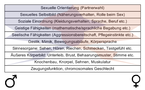 Bild "Leseecke/Theorie:zdg006.gif"