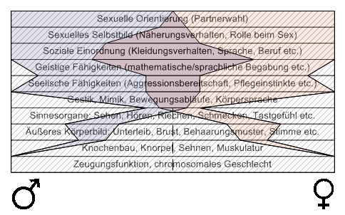 Bild "Leseecke/Theorie:zdg007.gif"