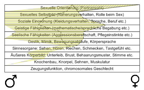 Bild "Leseecke/Theorie:zdg008.gif"