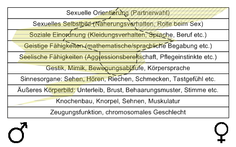Bild "Leseecke/Theorie:zdg009.gif"