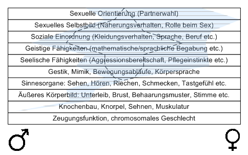 Bild "Leseecke/Theorie:zdg010.gif"