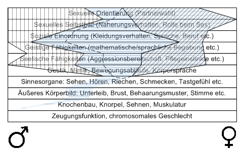 Bild "Leseecke/Theorie:zdg011.gif"