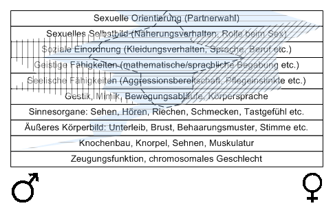 Bild "Leseecke/Theorie:zdg013.gif"