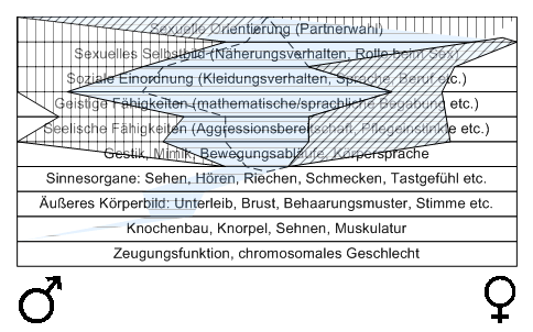 Bild "Leseecke/Theorie:zdg014.gif"