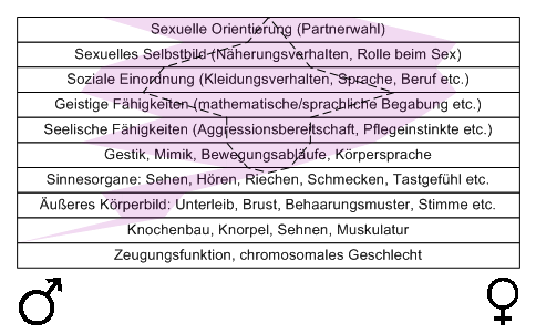 Bild "Leseecke/Theorie:zdg015.gif"
