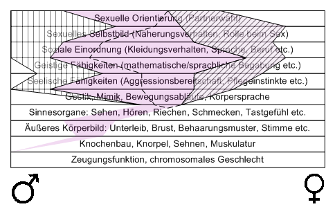 Bild "Leseecke/Theorie:zdg016.gif"