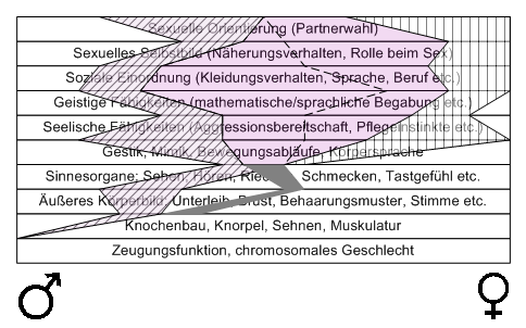 Bild "Leseecke/Theorie:zdg017.gif"