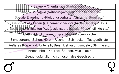 Bild "Leseecke/Theorie:zdg018.gif"