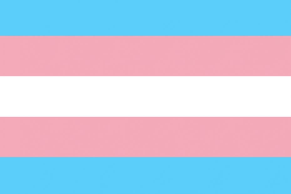 Trans Flagge