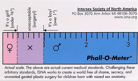 Phall-O-Meter